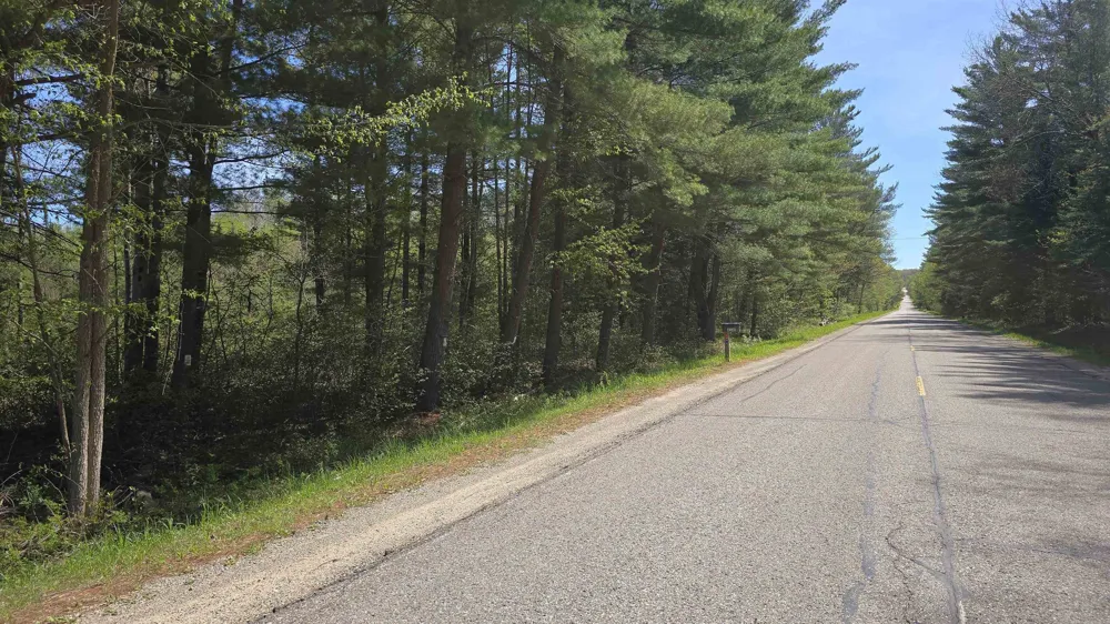 Lund Road, Sw Springfield Township, MI 49633