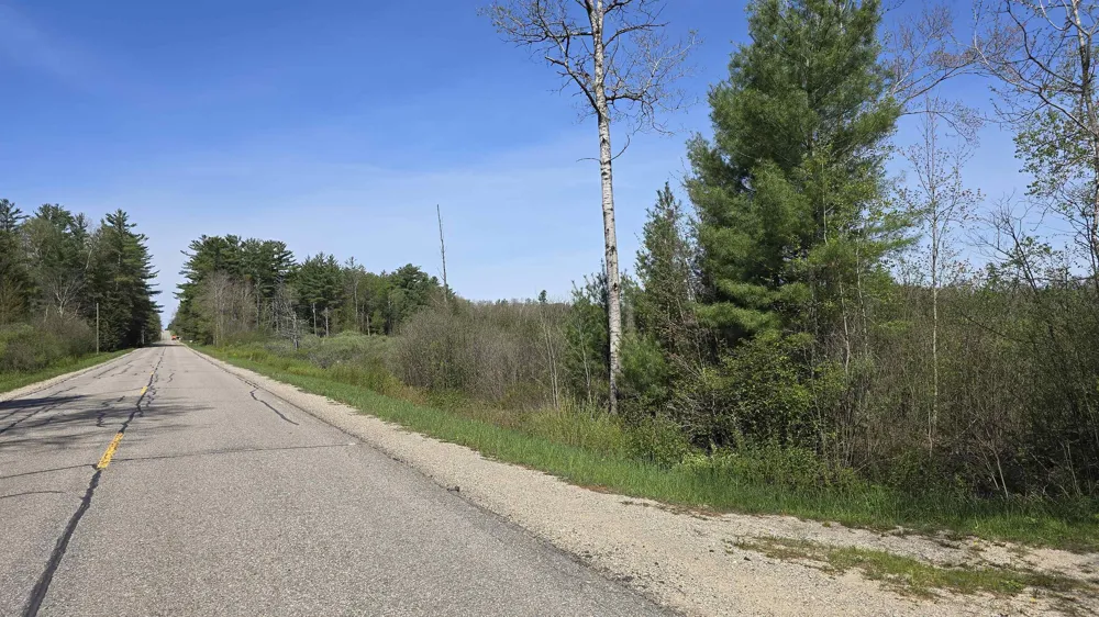 Lund Road, Sw Springfield Township, MI 49633