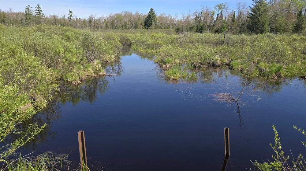Lund Road, Sw Springfield Township, MI 49633