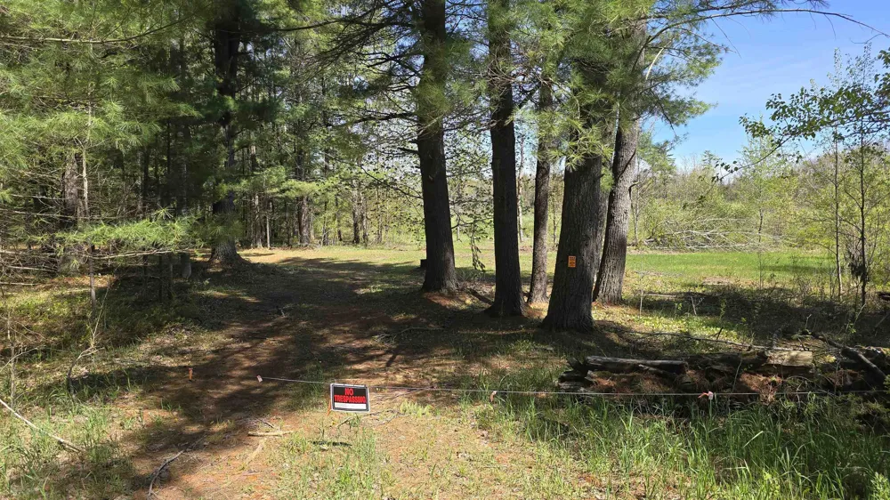 Lund Road, Sw Springfield Township, MI 49633