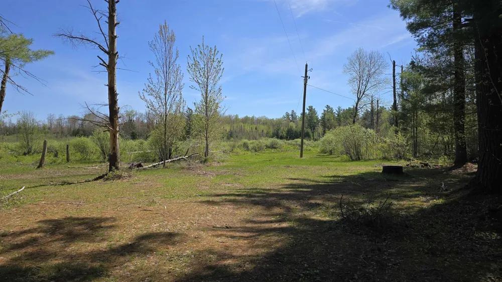 Lund Road, Sw Springfield Township, MI 49633