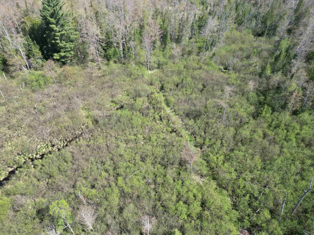 Lund Road, Sw Springfield Township, MI 49633