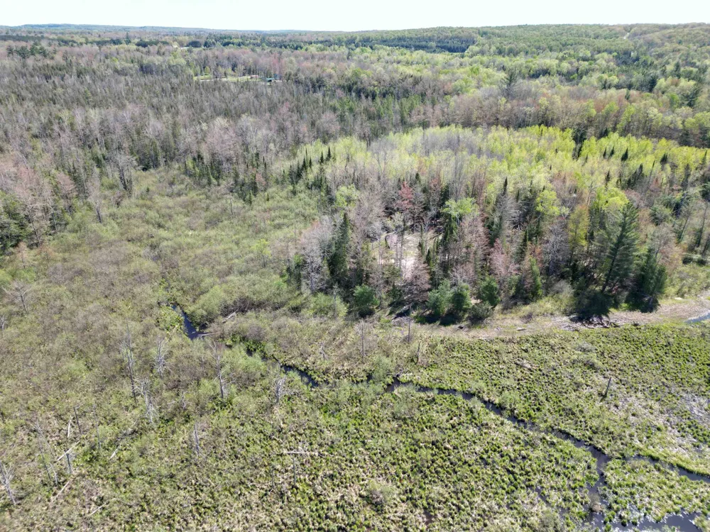 Lund Road, Sw Springfield Township, MI 49633