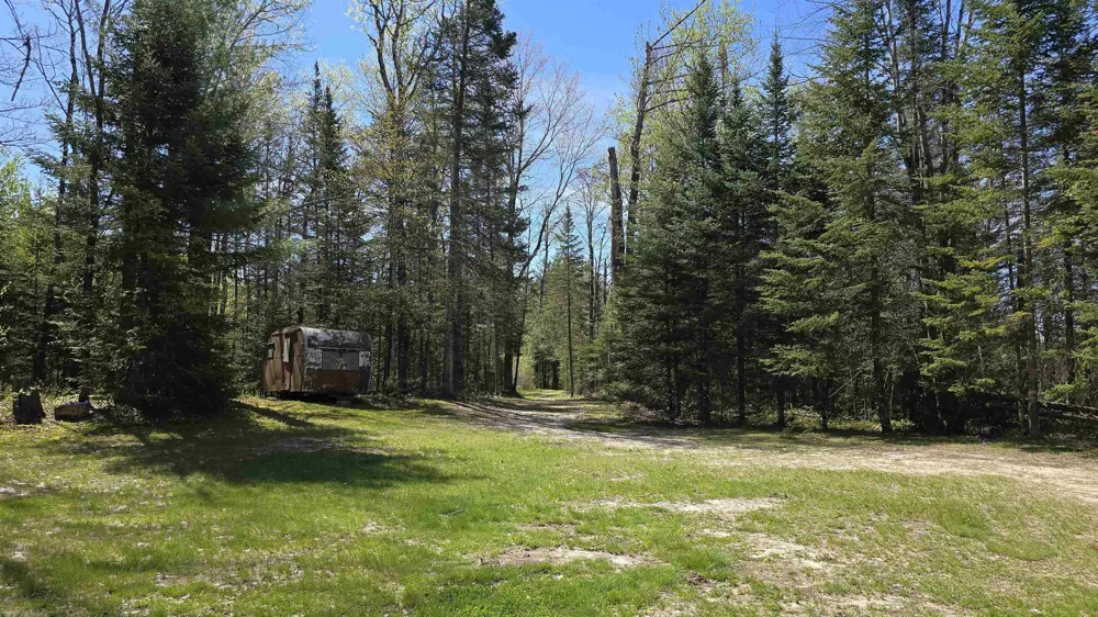 Lund Road, Sw Springfield Township, MI 49633