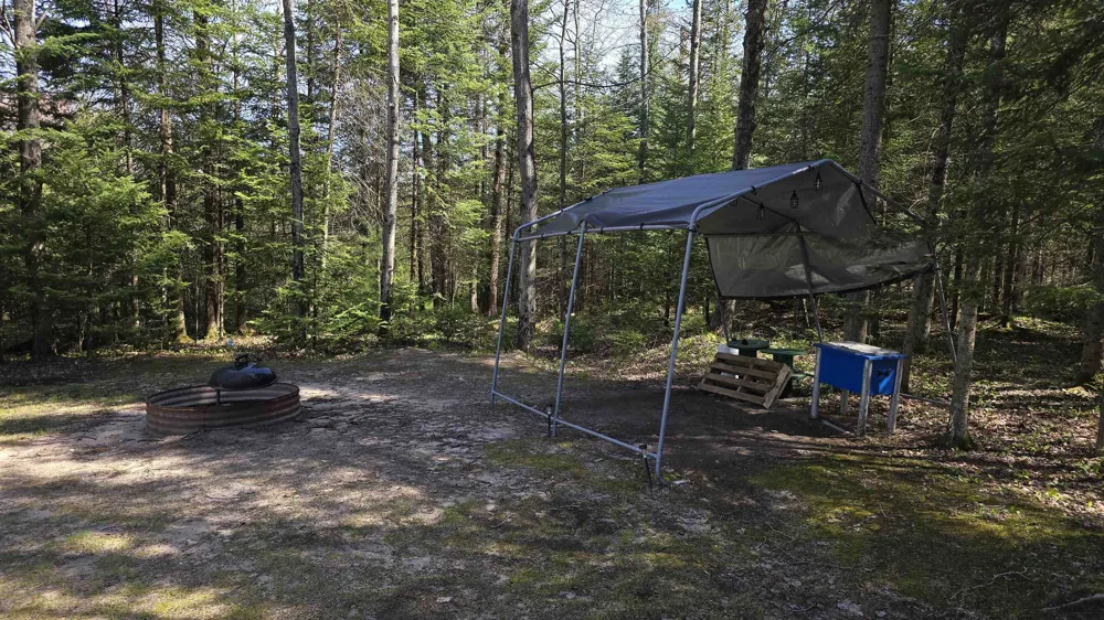 Lund Road, Sw Springfield Township, MI 49633