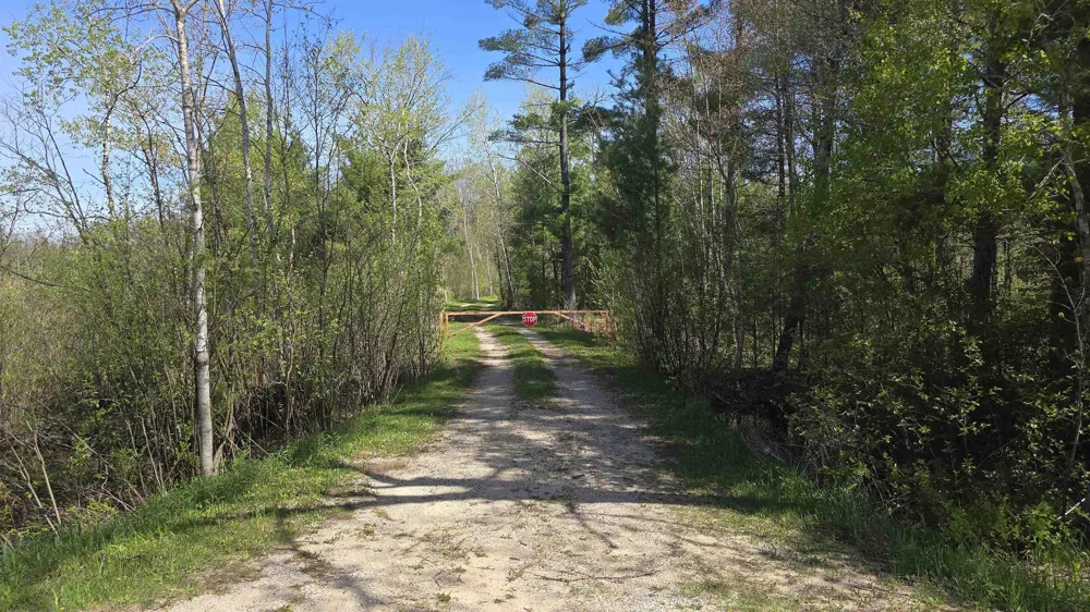 Lund Road, Sw Springfield Township, MI 49633