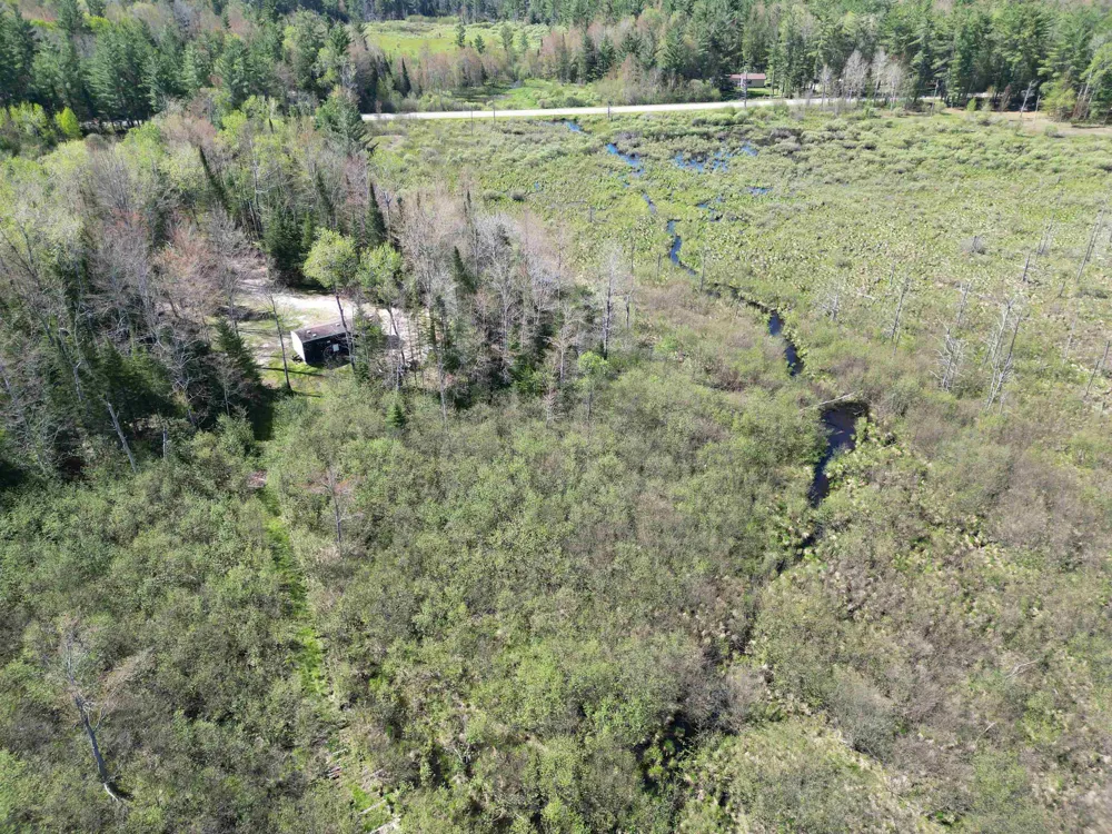 Lund Road, Sw Springfield Township, MI 49633