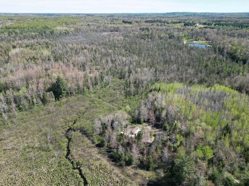 Lund Road, Sw Springfield Township, MI 49633