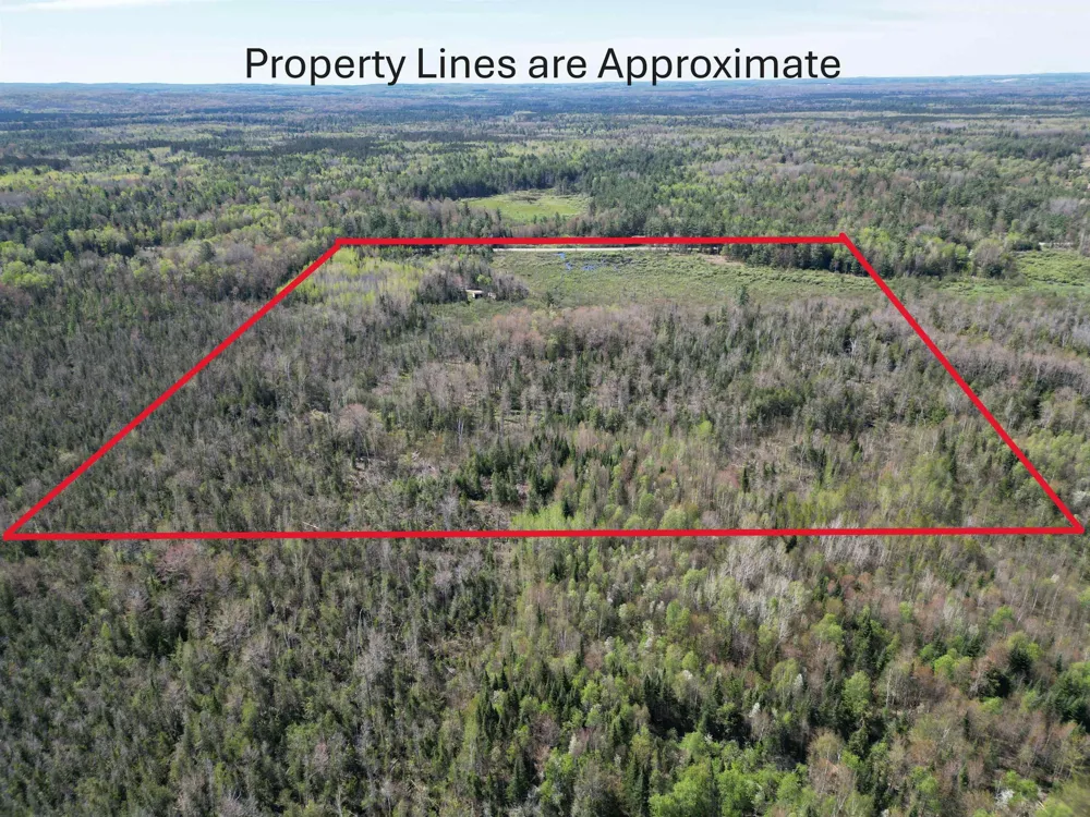 Lund Road, Sw Springfield Township, MI 49633