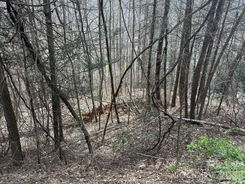 0 Tuckaway Ridge Drive Hendersonville, NC 28792