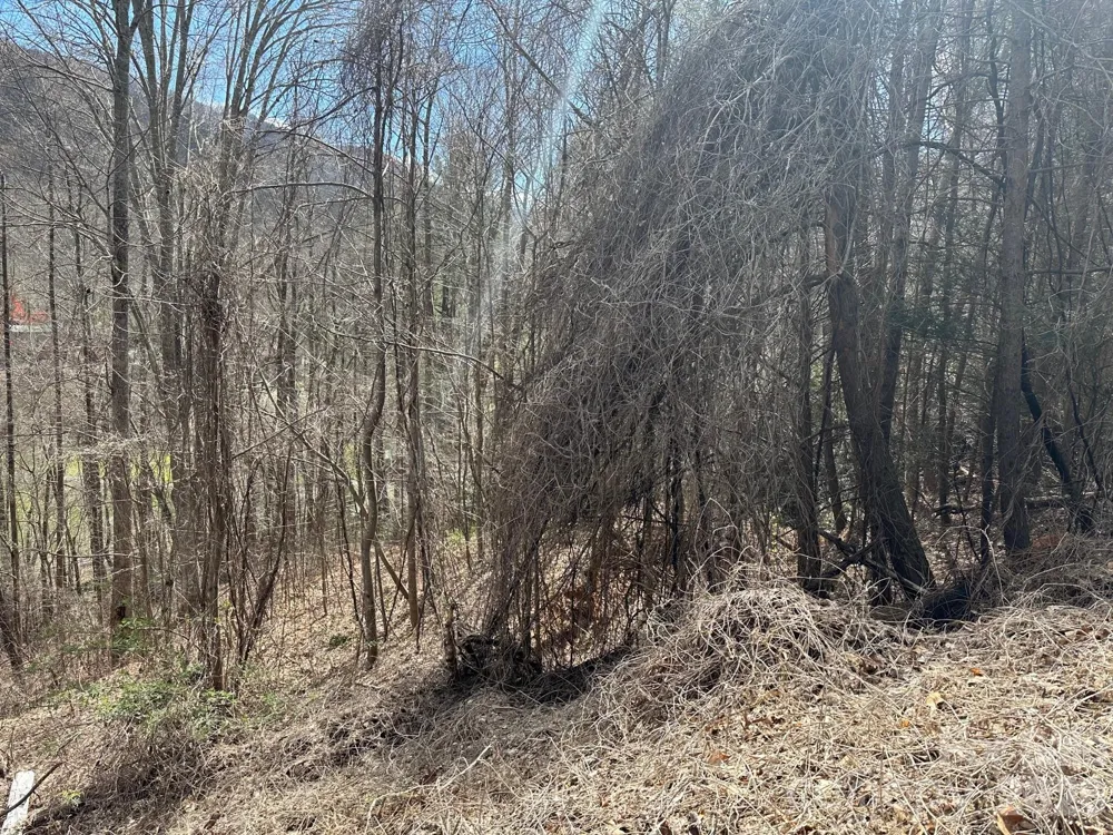 0 Tuckaway Ridge Drive Hendersonville, NC 28792