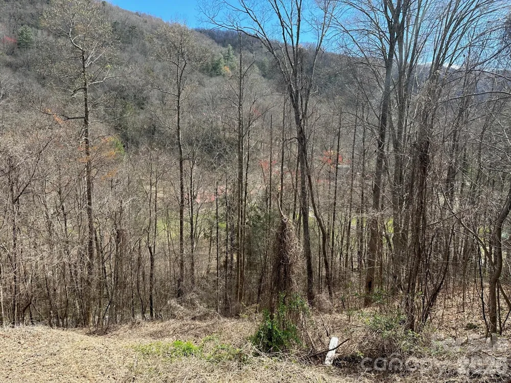 0 Tuckaway Ridge Drive Hendersonville, NC 28792