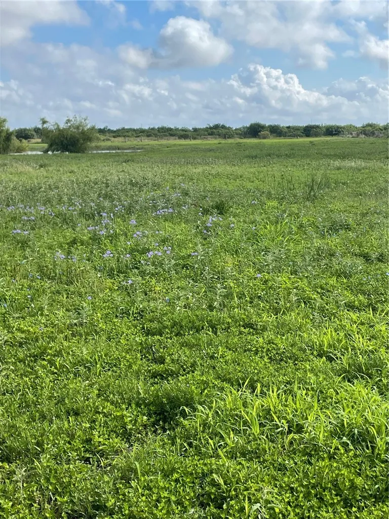 4416 County Road 1177 Taft, TX 78390