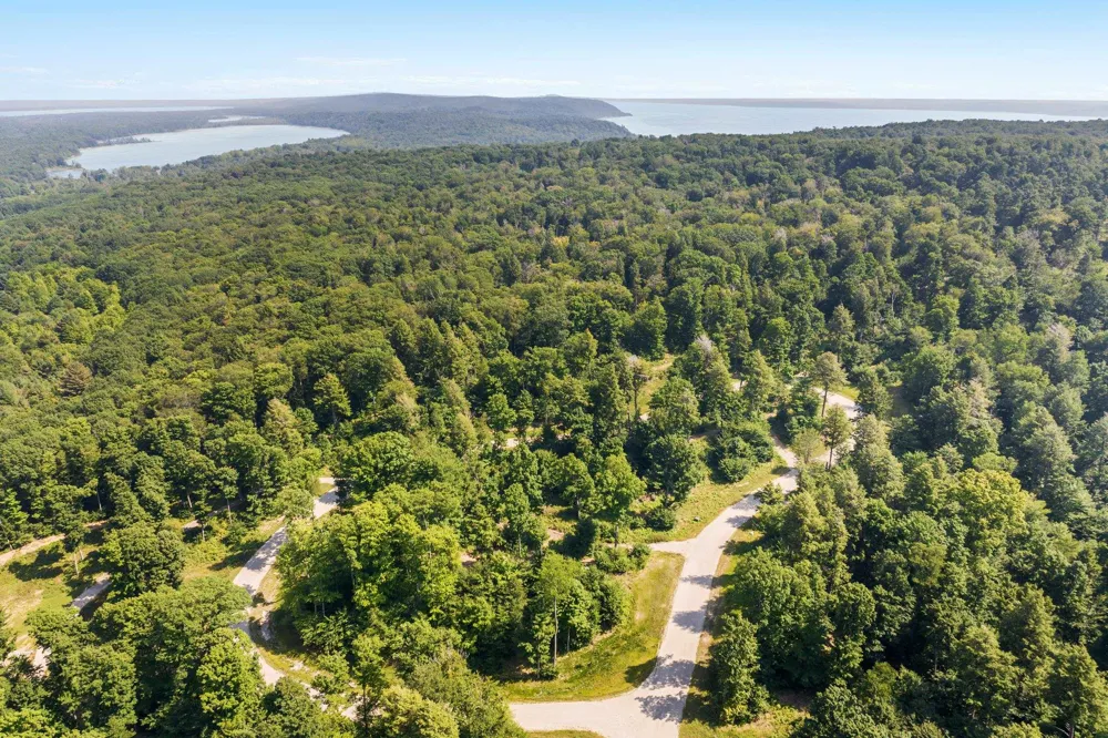 Park Ridge Lake Township, MI 49635