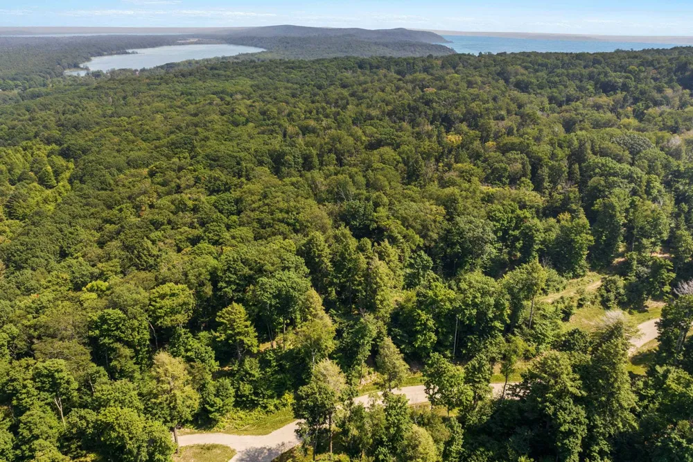 Park Ridge Lake Township, MI 49635