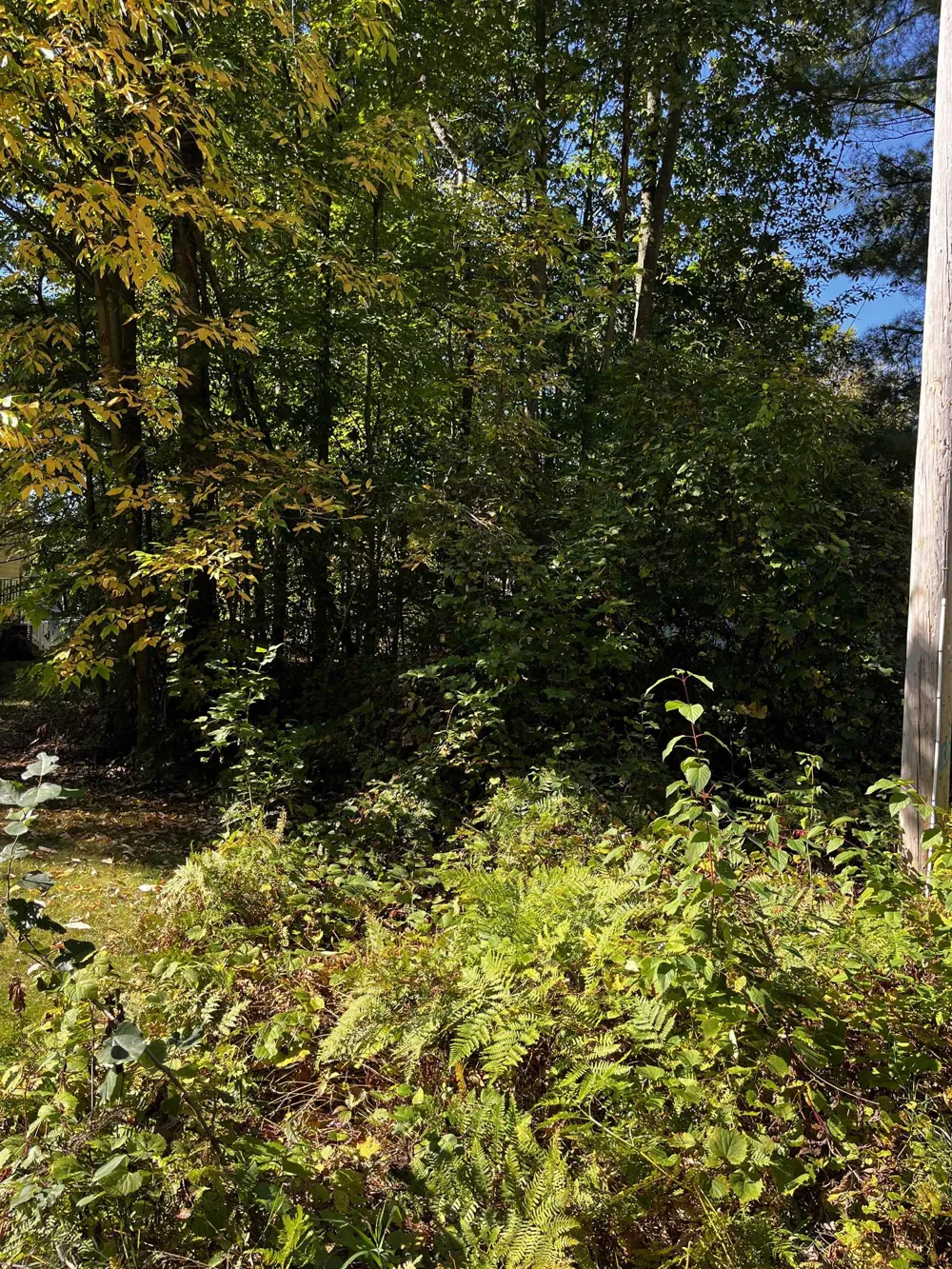 7670 Five Lakes Drive Grant Township, MI 48622