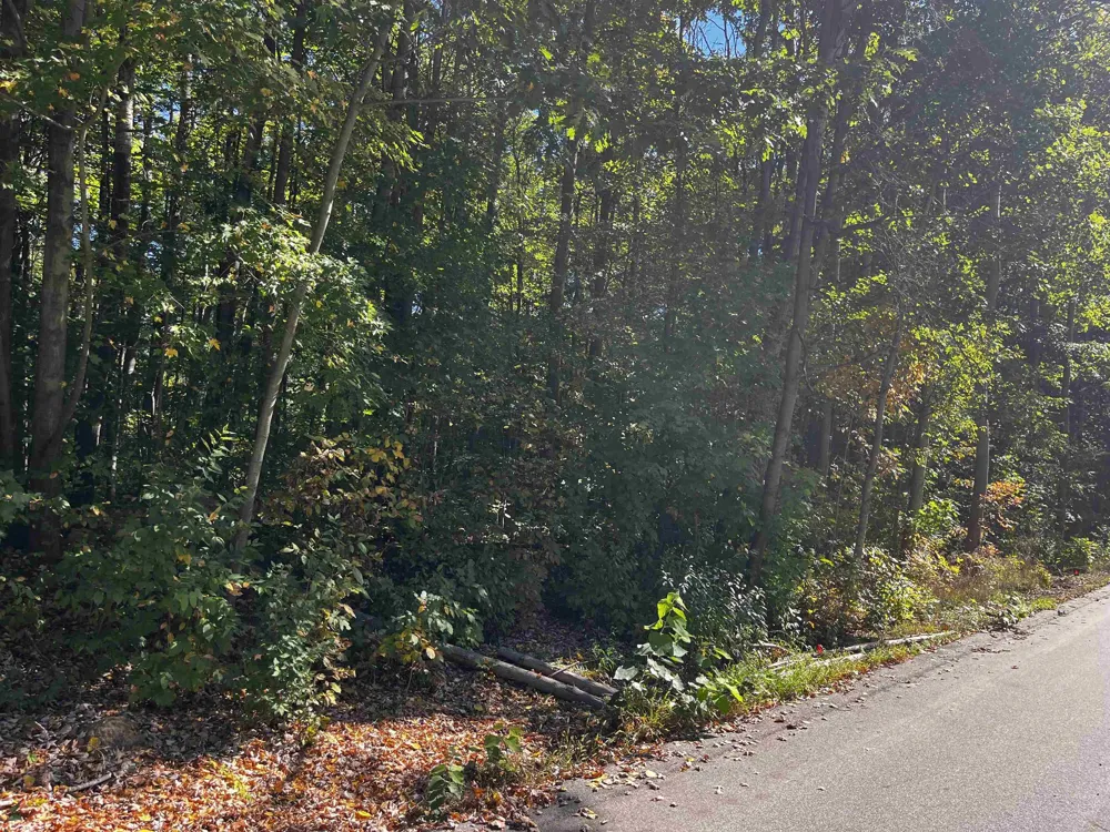 7670 Five Lakes Drive Grant Township, MI 48622