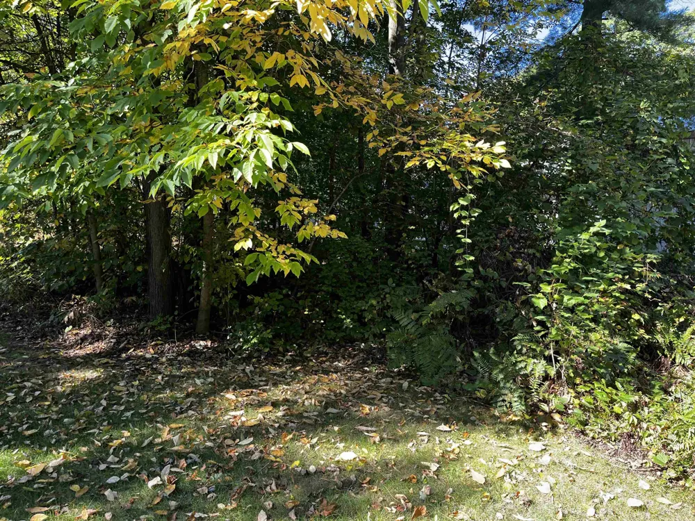 7670 Five Lakes Drive Grant Township, MI 48622