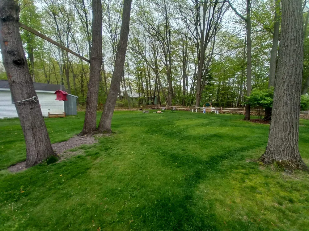 4144 E Anne Street Sims Township, MI 48703