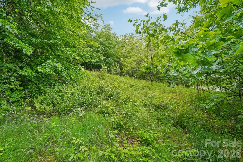 434 Dovers Branch Road Burnsville, NC 28714