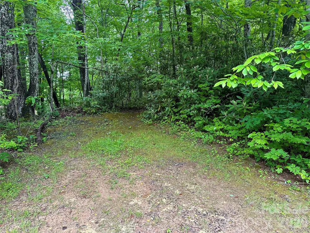 000 Laurel Circle Road Burnsville, NC 28714