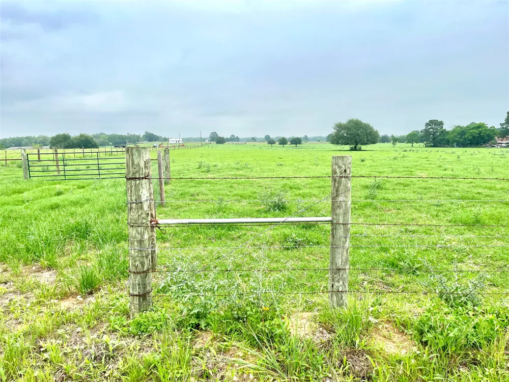 5 Farris Lane Lane Smithville, TX 78957