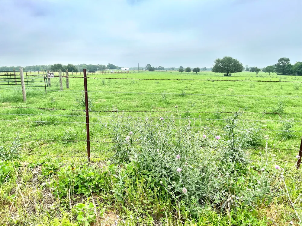5 Farris Lane Lane Smithville, TX 78957