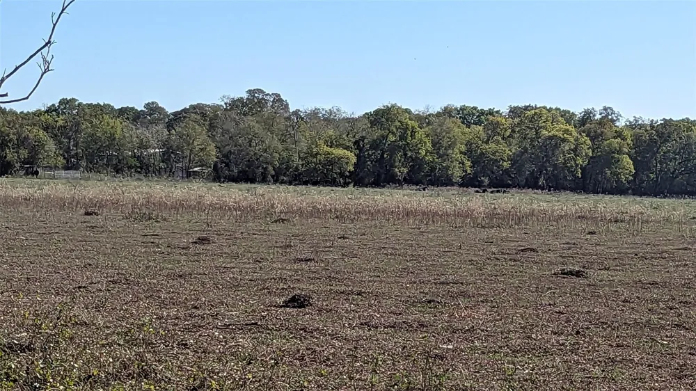 County Road 159 Wharton, TX 77488