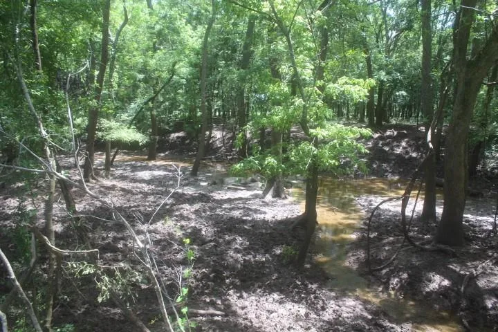 County Road 159 Wharton, TX 77488