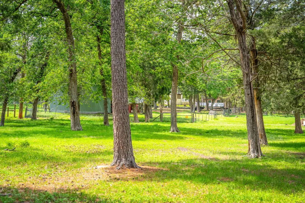 1055 BEECH CREST DR DRIVE New Ulm, TX 78950