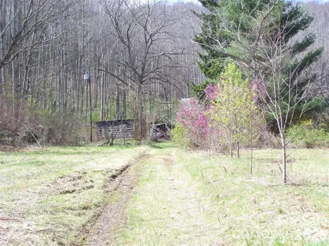 58 Collier Lane
