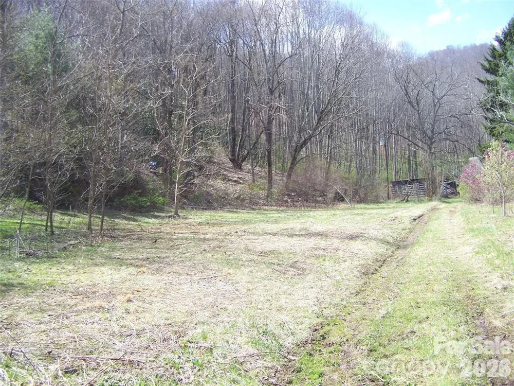 58 Collier Lane Waynesville, NC 28786