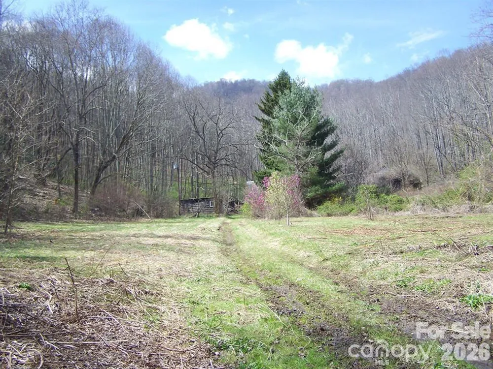 58 Collier Lane Waynesville, NC 28786