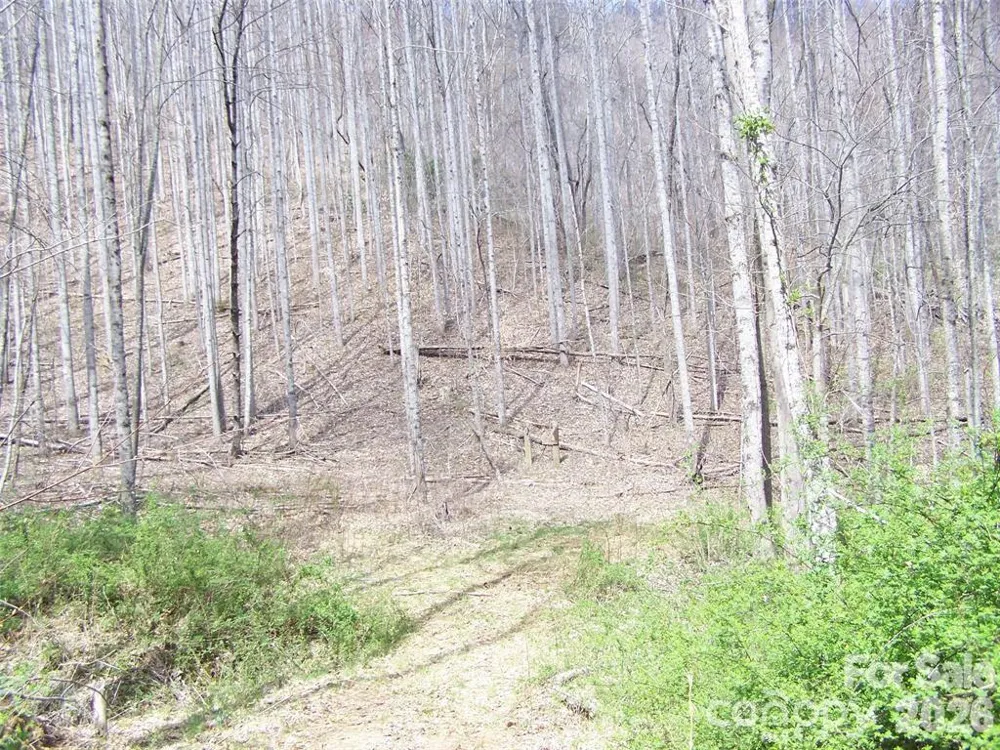 58 Collier Lane Waynesville, NC 28786