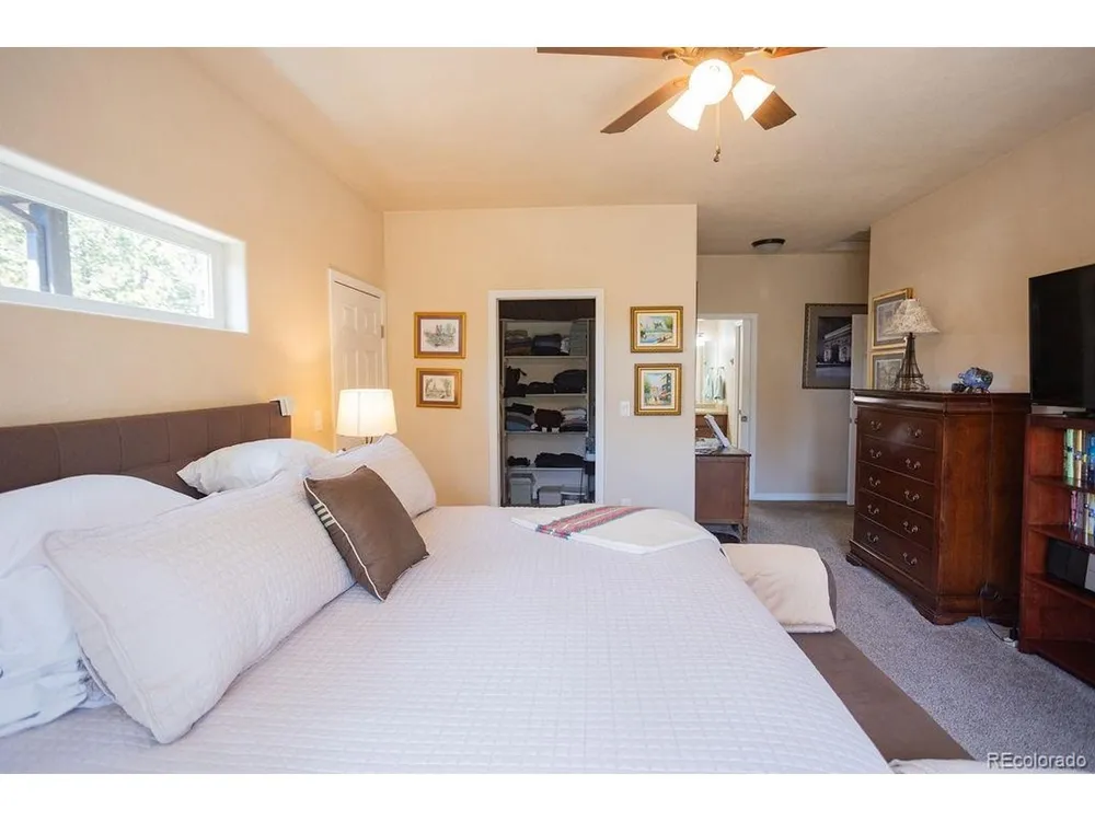 45 Valley Circle Divide, CO 80814