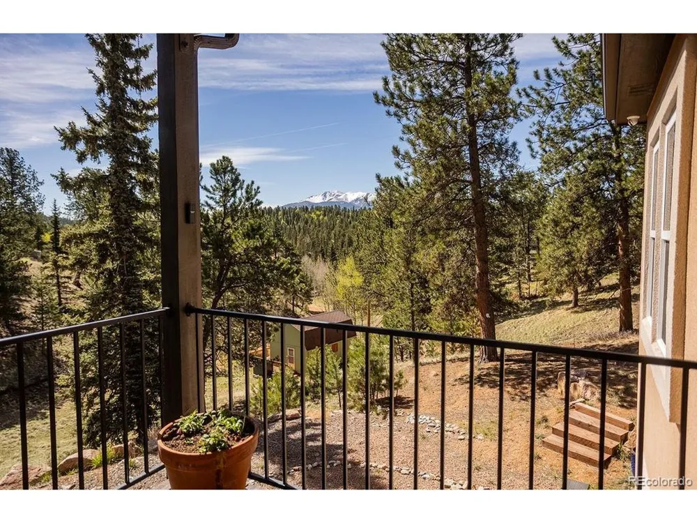 45 Valley Circle Divide, CO 80814
