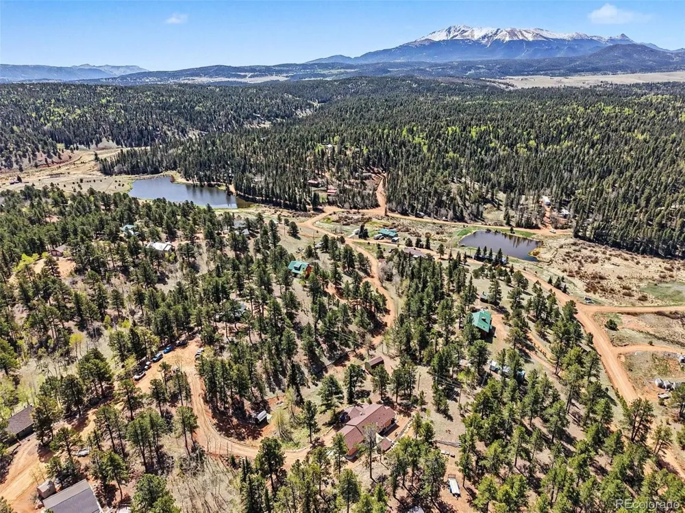 45 Valley Circle Divide, CO 80814
