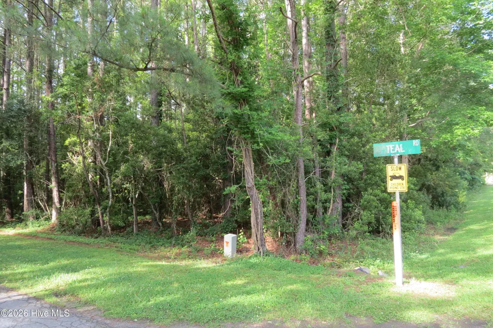 20 Teal Road Merritt, NC 28556