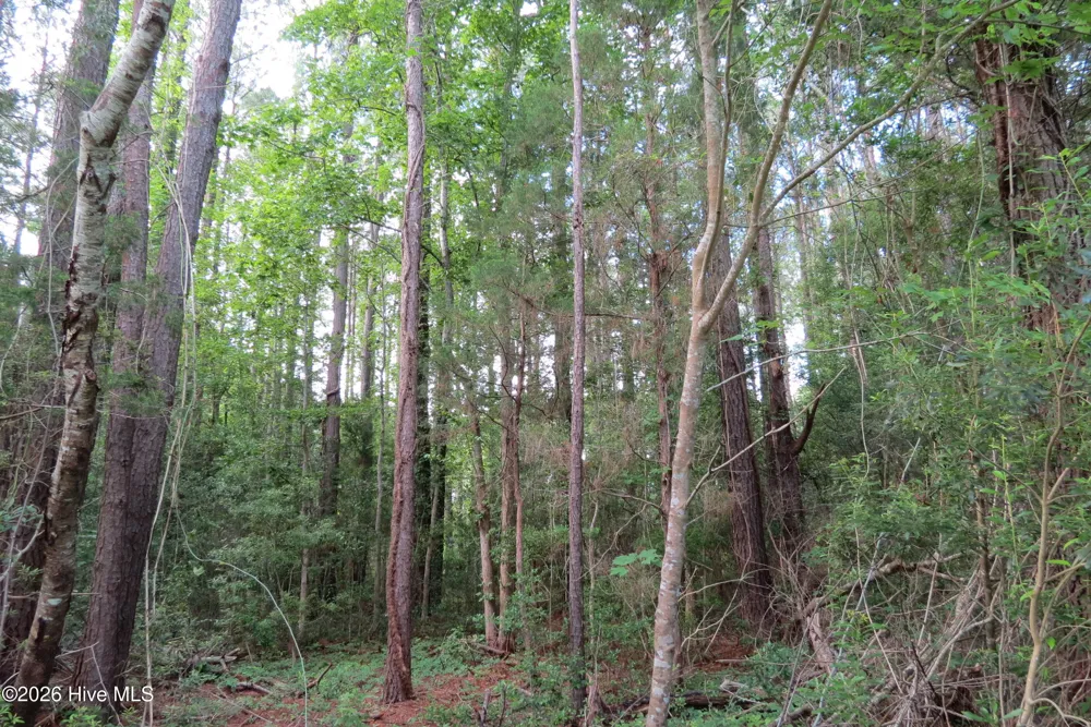 20 Teal Road Merritt, NC 28556