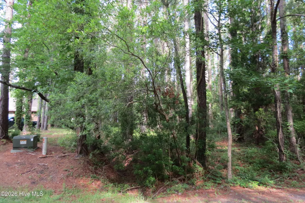 20 Teal Road Merritt, NC 28556