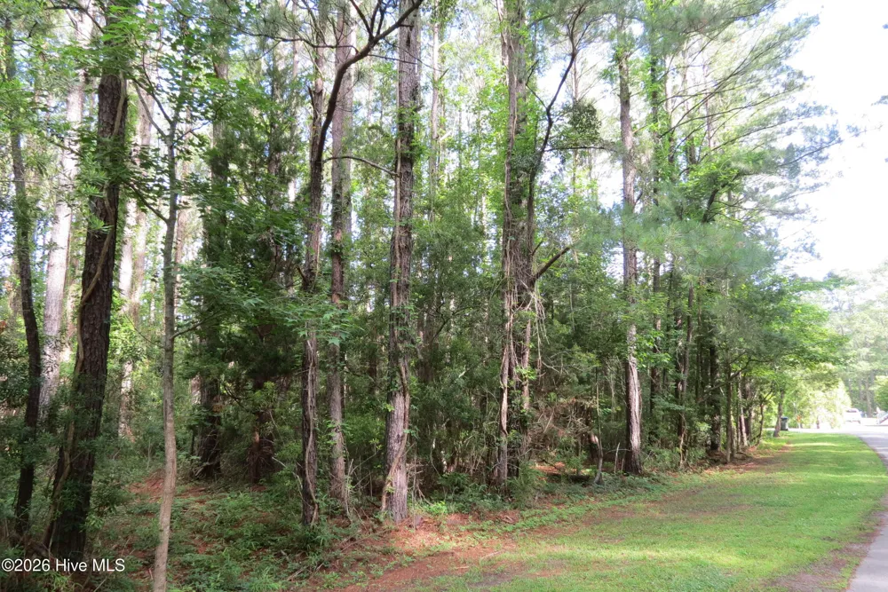 20 Teal Road Merritt, NC 28556