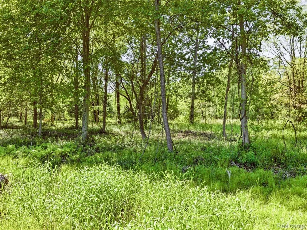 2941 Beach Road Port Huron Charter Township, MI 48060