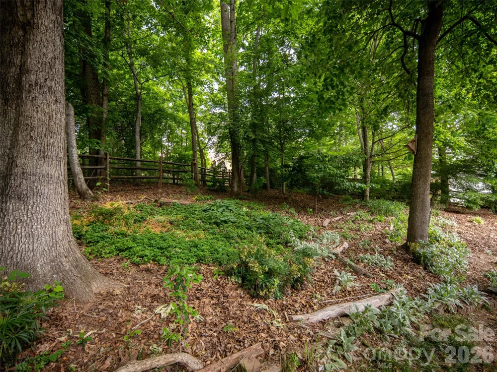 541 Welsh Partridge Circle Biltmore Lake, NC 28715