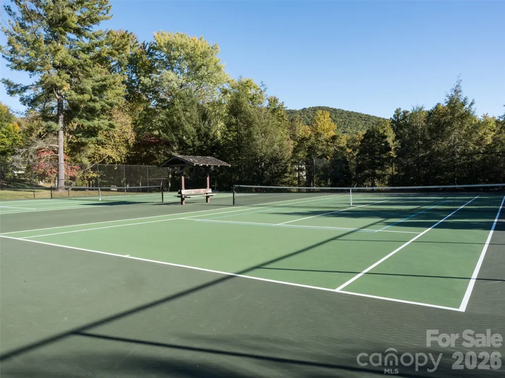 541 Welsh Partridge Circle Biltmore Lake, NC 28715