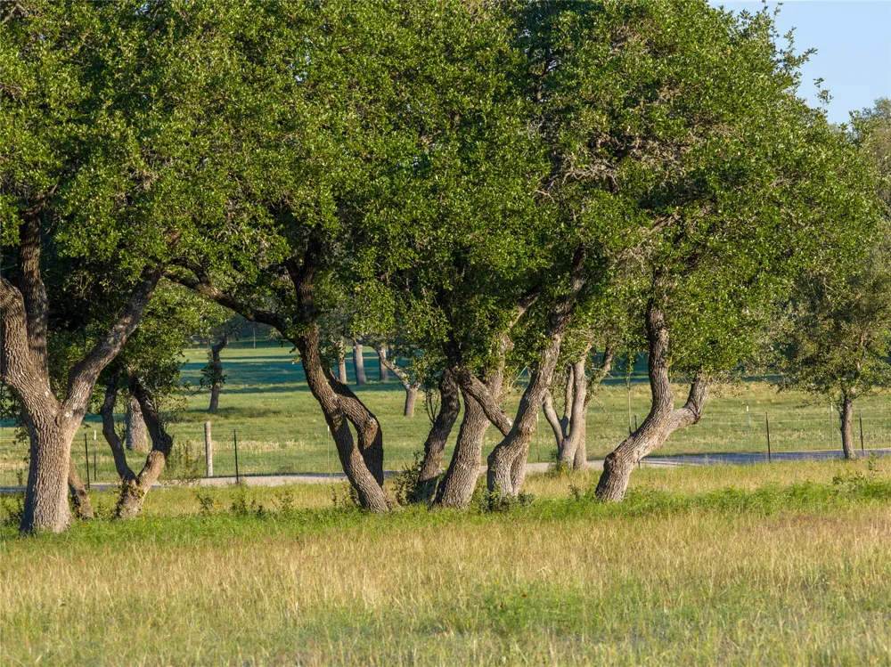 Mount Sharp Rd Wimberley, TX 78676