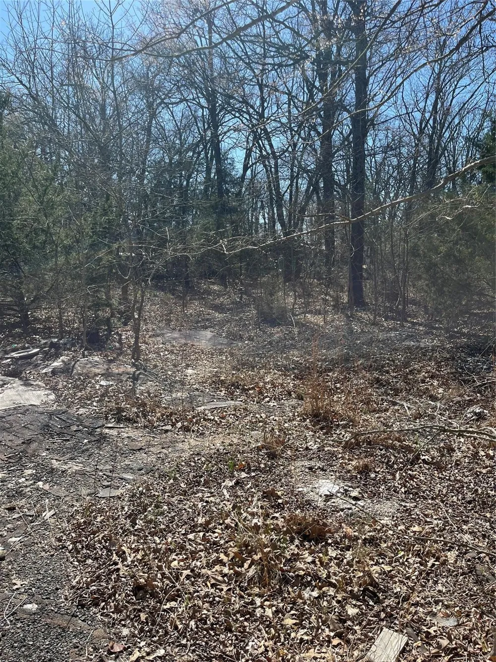 County Road 3605 Quinlan, TX 75474
