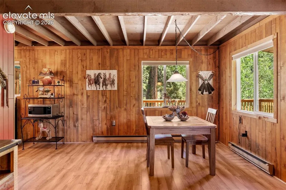 546 Pulver Road Lake George, CO 80827