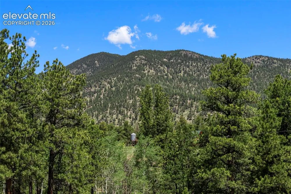 546 Pulver Road Lake George, CO 80827