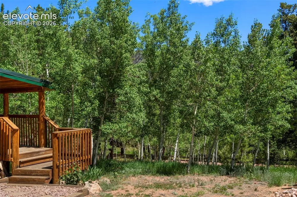 546 Pulver Road Lake George, CO 80827