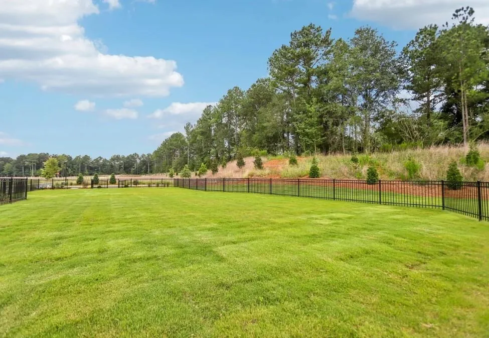 1293 Fagiolo Street McDonough, GA 30253